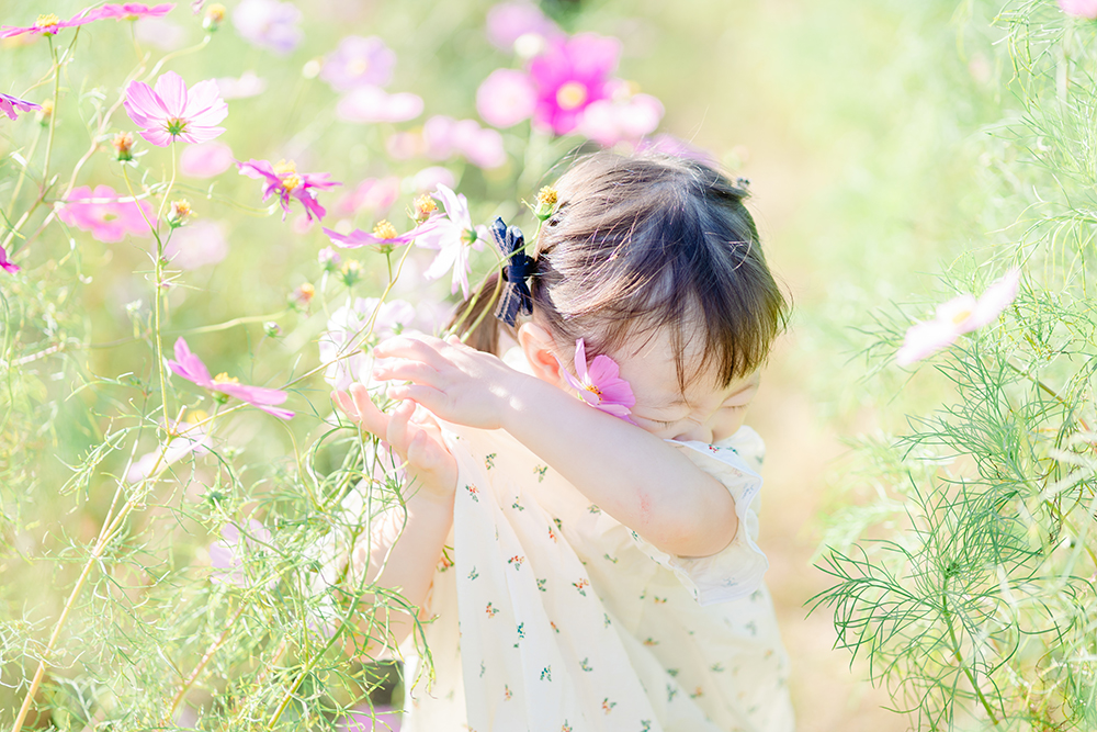 花畑から出てきた子供の写真